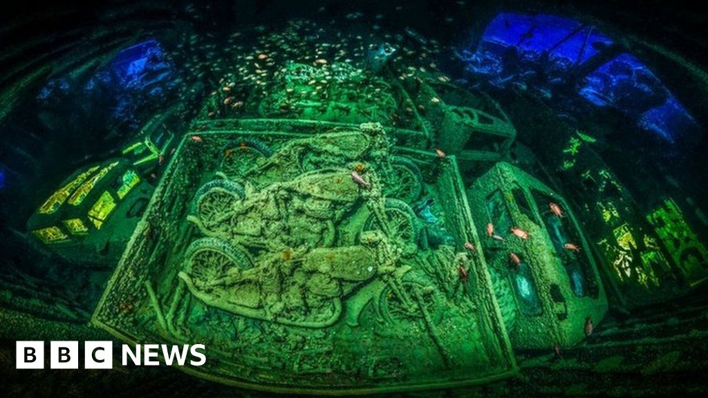 The winners of Underwater Photographer of the Year 2018