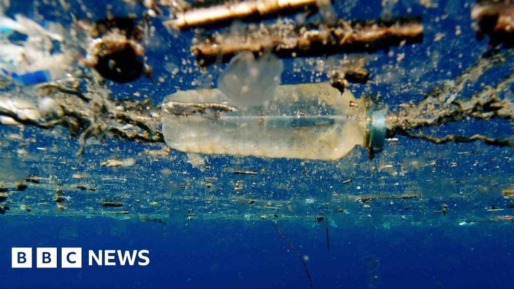 Recycling hope for plastic-hungry enzyme Recycling hope for plastic-hungry enzyme