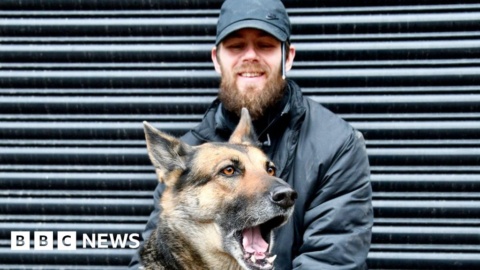 On the streets of Birmingham helping homeless pets