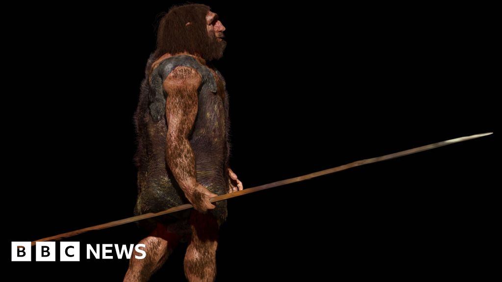 Neanderthals ‘could kill at a distance’