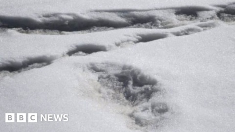 Indian army mocked over claim Indian army mocked over claim