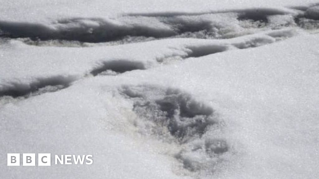 Indian army mocked over claim Indian army mocked over claim