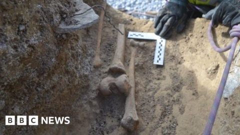 Coastal erosion reveals ‘shipwreck’ skeletons on Glamorgan Heritage Coast