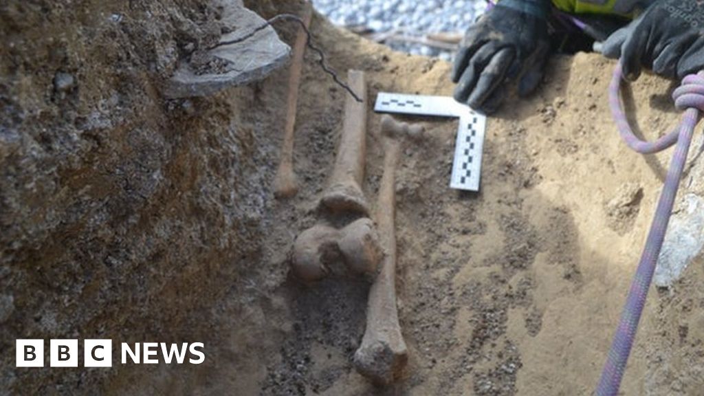 Coastal erosion reveals ‘shipwreck’ skeletons on Glamorgan Heritage Coast Coastal erosion reveals ‘shipwreck’ skeletons on Glamorgan Heritage Coast