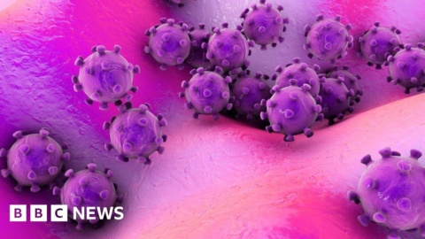 New virus in China ‘will have infected hundreds’