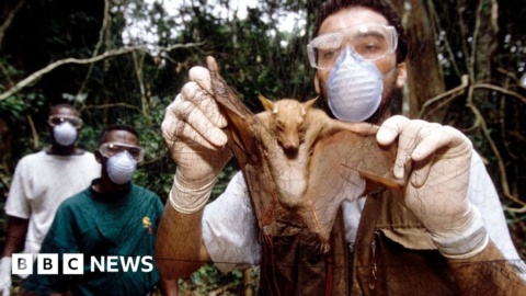 Scientists weigh up evidence over virus’s origins