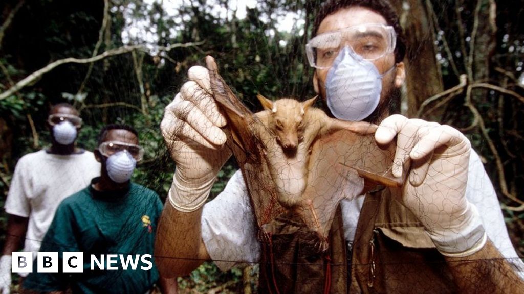 Scientists weigh up evidence over virus’s origins Scientists weigh up evidence over virus’s origins