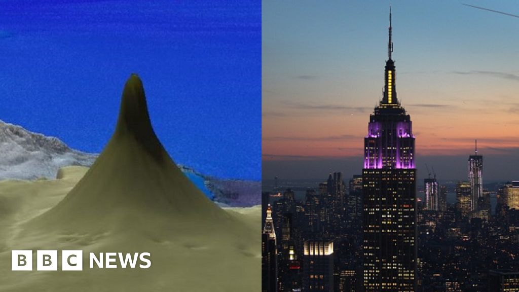 Scientists find reef taller than Empire State Building