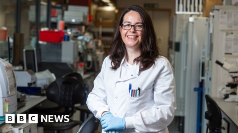 Oxford-AstraZeneca vaccine: Bogus reports, accidental finds