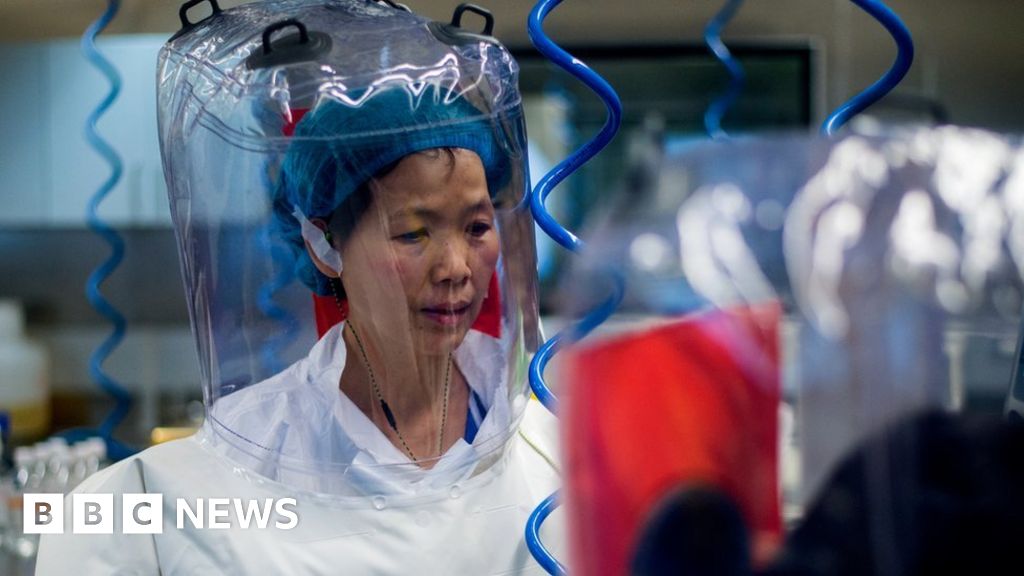 Wuhan scientist would ‘welcome’ visit probing lab leak theory Wuhan scientist would ‘welcome’ visit probing lab leak theory