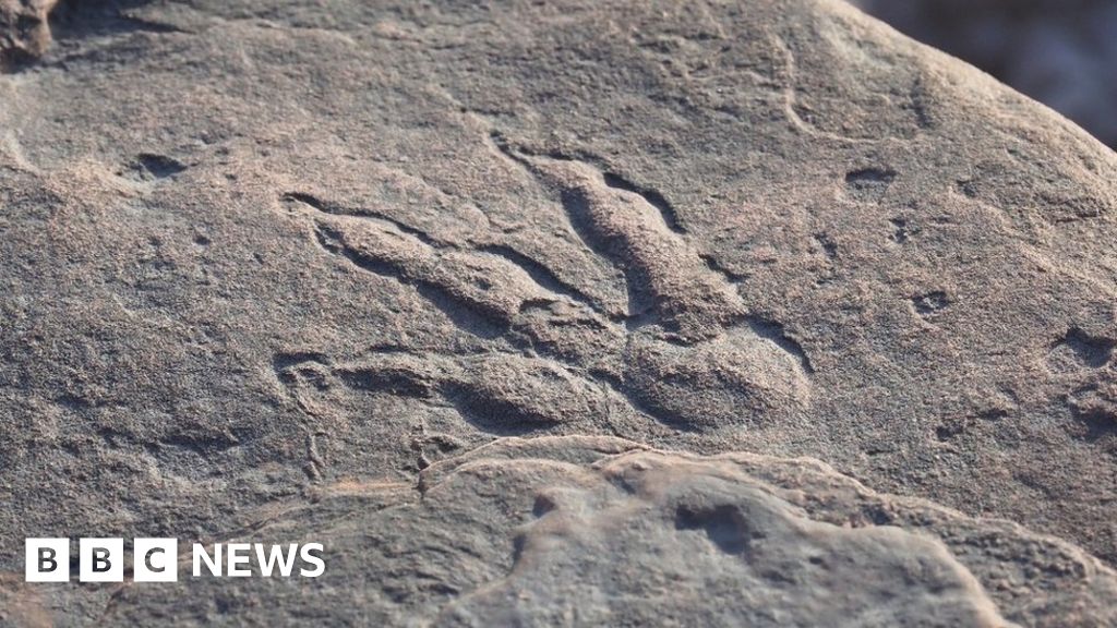 Barry Dinosaur footprint rock damaged with sledgehammers Barry Dinosaur footprint rock damaged with sledgehammers