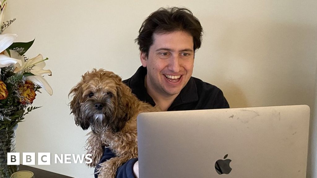 The video call apps linking home workers with strangers The video call apps linking home workers with strangers