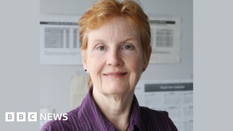 ‘I went from spreadsheets to proning Covid patients’