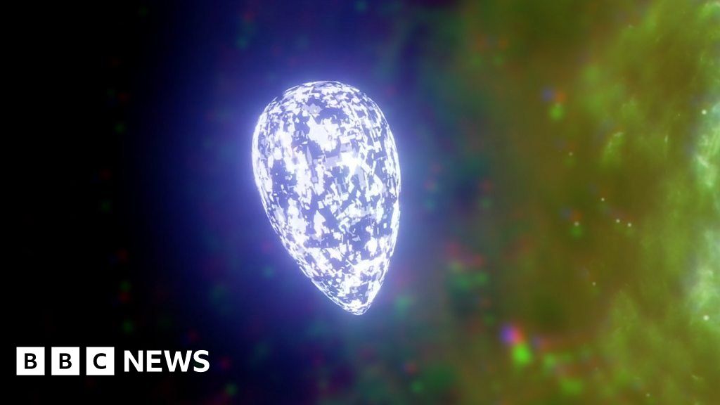 Scientists have ‘strong evidence’ for new force of nature Scientists have ‘strong evidence’ for new force of nature