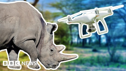 How tech is changing conservation