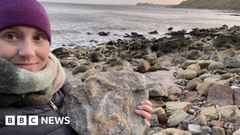 New Yorkshire Jurassic fossil find on ‘Dinosaur Coast’ New Yorkshire Jurassic fossil find on ‘Dinosaur Coast’