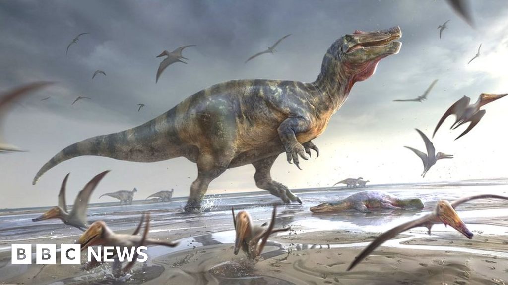 Europe’s ‘largest ever’ predator dinosaur found on Isle of Wight