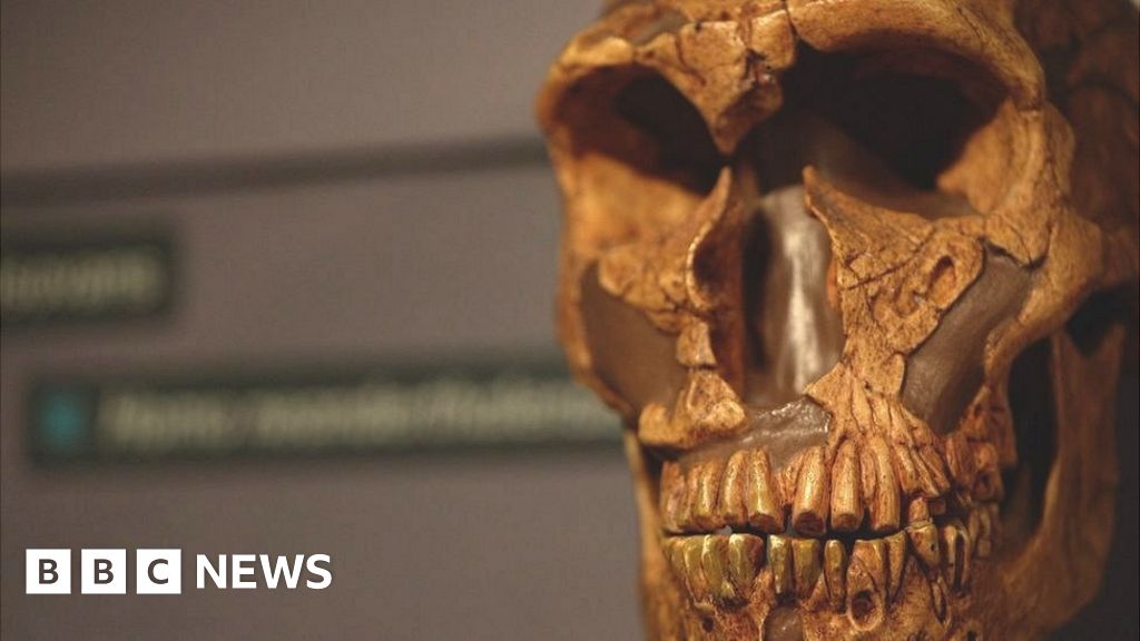 Nobel Prize goes to Svante Paabo for Neanderthal work Nobel Prize goes to Svante Paabo for Neanderthal work