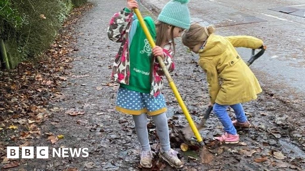 Should we offer to sweep leaves on our streets? Should we offer to sweep leaves on our streets?