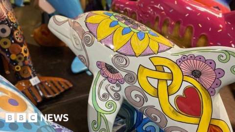Charity art trail dolphins raise £151k for Isle of Man hospice Charity art trail dolphins raise £151k for Isle of Man hospice