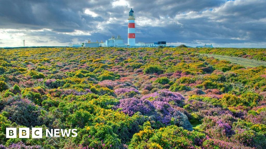 New family focus for Isle of Man nature discovery centre New family focus for Isle of Man nature discovery centre