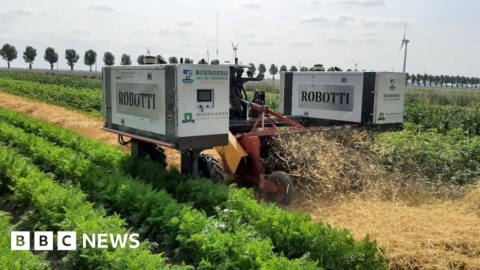 New tech boosts Dutch drive for sustainable farming New tech boosts Dutch drive for sustainable farming
