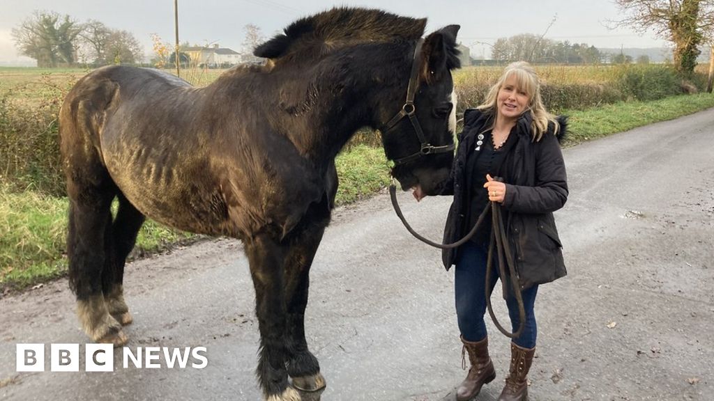 Suffolk woman who volunteers with police wins national award for service