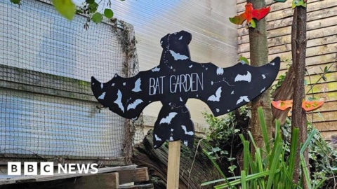 Jersey Zoo creates bat-friendly garden