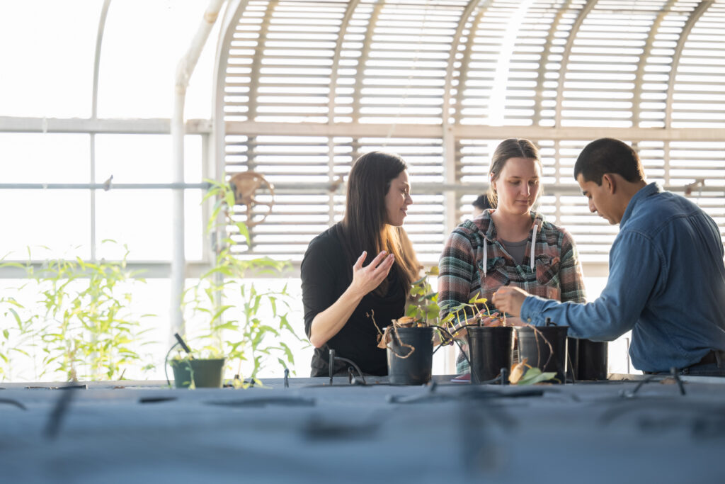 Where curiosity meets career success