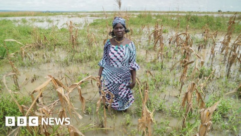 Nigeria’s floods and drought worsening food insecurity