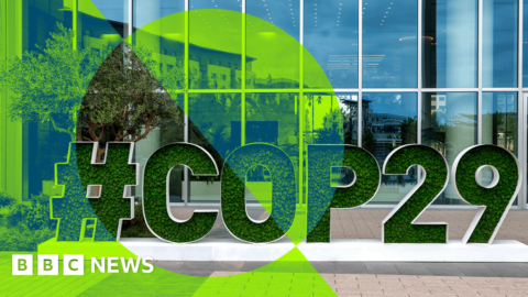 What is COP29 and how will Trump’s election affect the climate talks? What is COP29 and how will Trump’s election affect the climate talks?