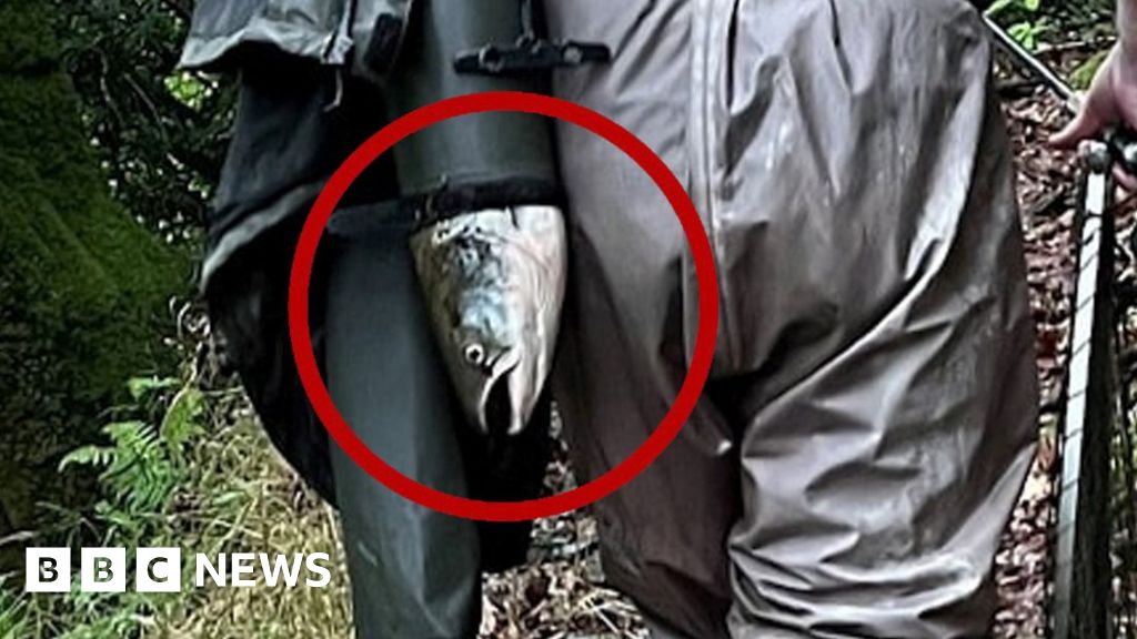 Fisherman fined for hiding salmon up sleeve in ‘suspicious circumstances’ Fisherman fined for hiding salmon up sleeve in ‘suspicious circumstances’