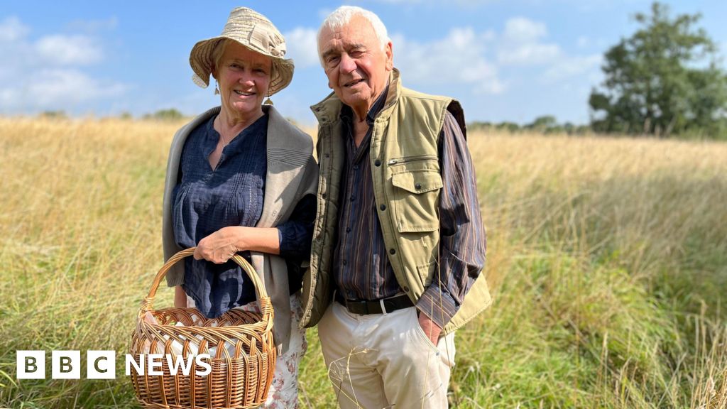 Community group buys fields to create Knaresborough ‘forest park’