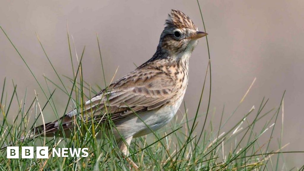 Work begins on creating £7.3m Sandlilands wildlife haven Work begins on creating £7.3m Sandlilands wildlife haven