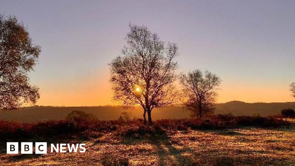 Hampshire & Isle of Wight’s Big Picture: 21 October