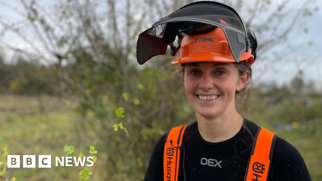 Competitors vie for title at national hedgelaying championships Competitors vie for title at national hedgelaying championships