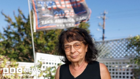 Six Trump voters on why he won their support in 2024