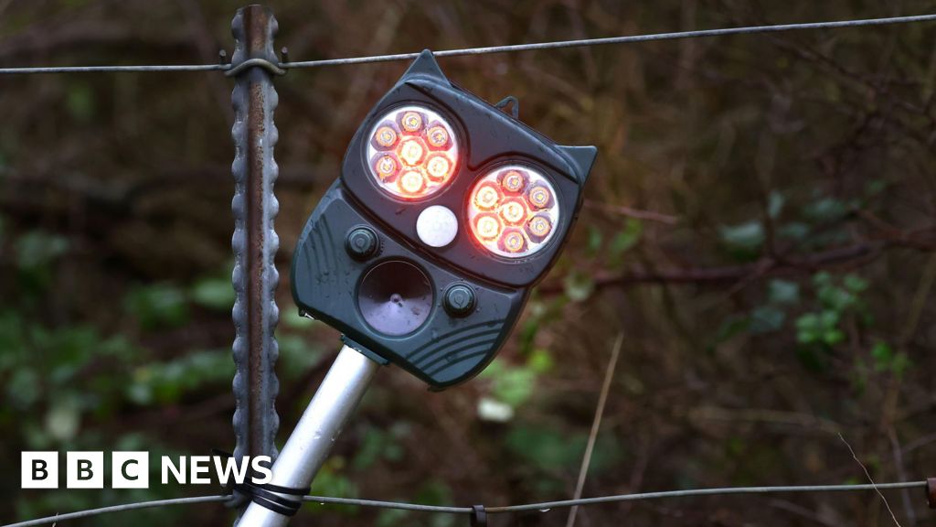AI technology keeps 6,000 deer from Grantham and Stoke rail lines AI technology keeps 6,000 deer from Grantham and Stoke rail lines