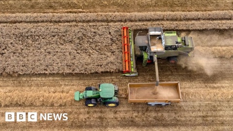 UK farming ‘net zero’ target in doubt, warns NFU