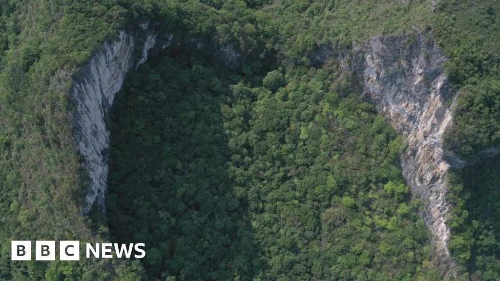 Tourist boom threatens ancient forests Tourist boom threatens ancient forests
