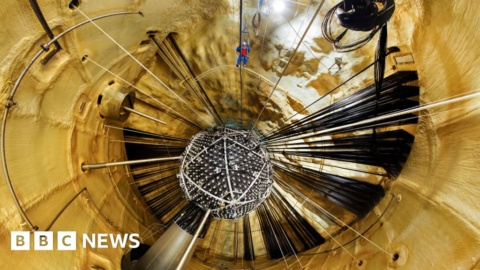 Its contributions to the world