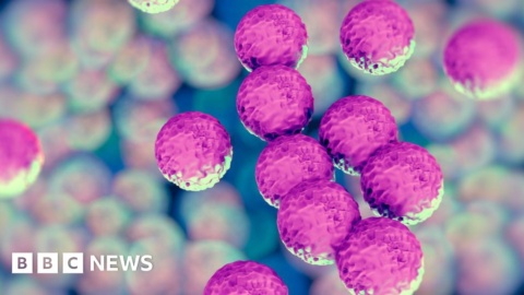 Why is it so difficult to discover new antibiotics?