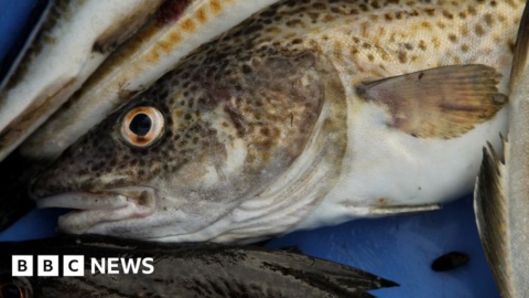 How an Icelandic firm became a global food giant