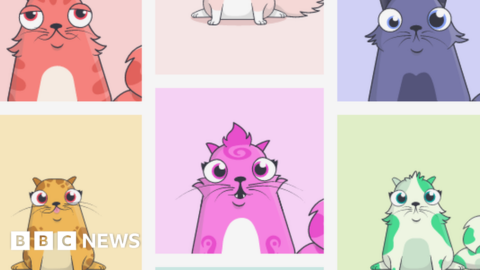 How cats and Russia are using the blockchain