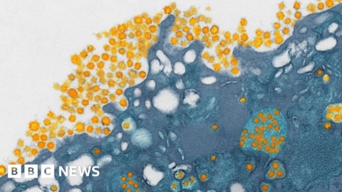 US lifts ban on lethal virus experiments despite security risks