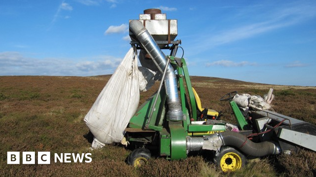 National Trust harvested heather without proper consent National Trust harvested heather without proper consent