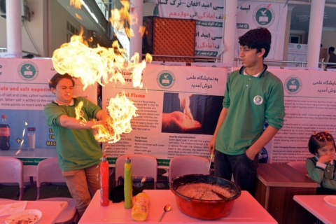 11 best projects for science fairs to wow the judges