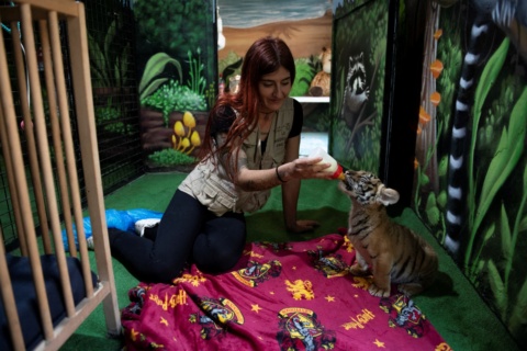 Experiential learning theory explained: 8 ways to learn