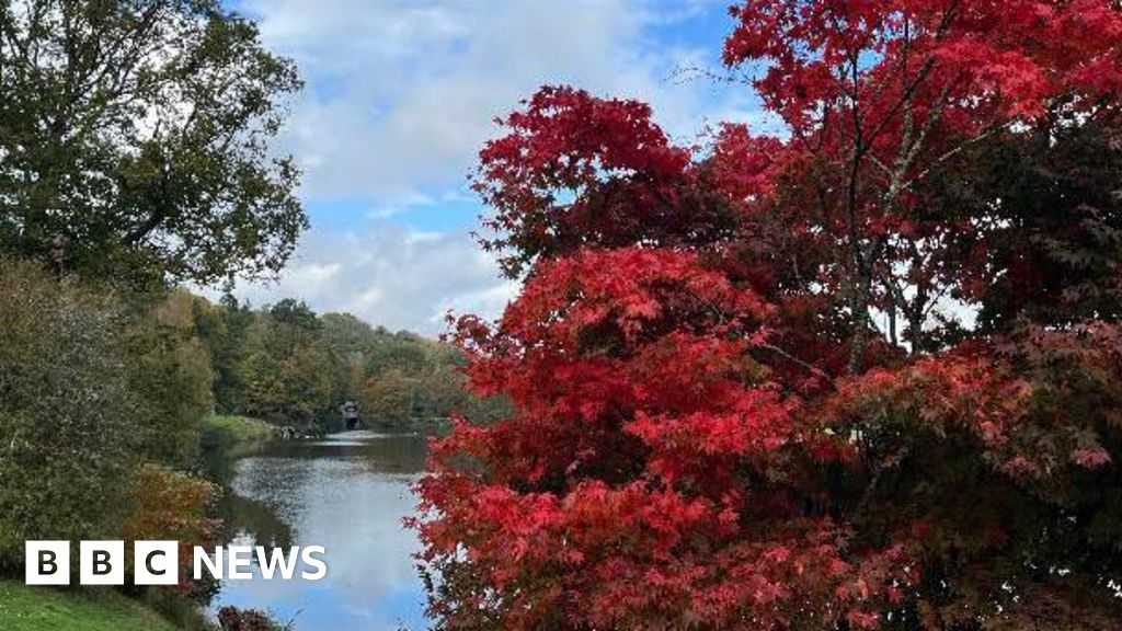 Hampshire & Isle of Wight’s Big Picture: 28 October Hampshire & Isle of Wight’s Big Picture: 28 October