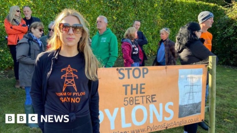 Essex pylon protesters say they have ‘not had choice’ over plans